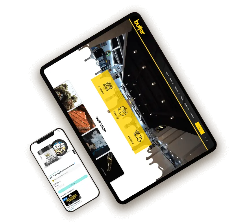 dispenza marketing web development