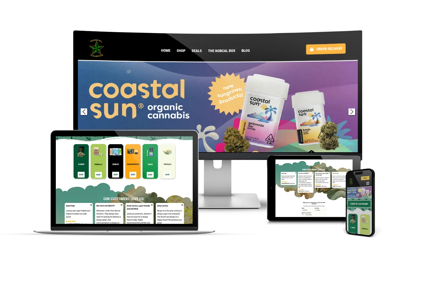 The Norcal Holistics website shown on a monitor, laptop, tablet and phone.