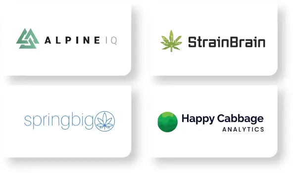 dispenza dispensaries marketing