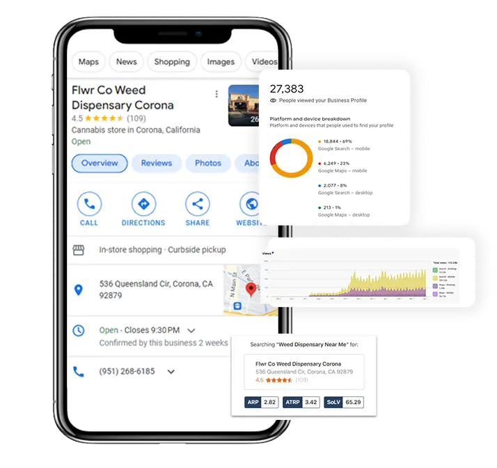 dispenza result report mobile phone view