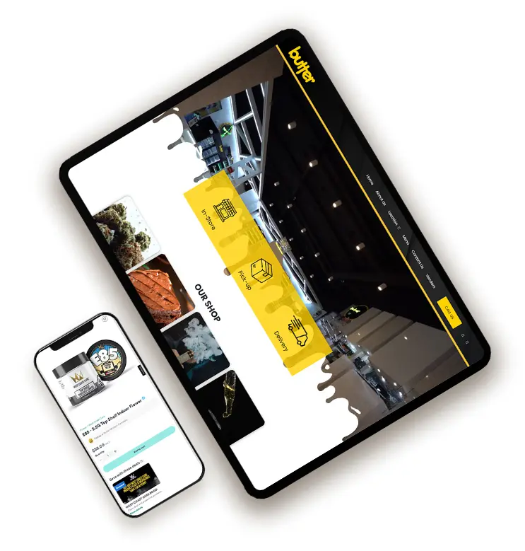 dispenza web design development